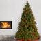 6.5ft. Pre-Lit Downswept Douglas® Fir Tree, Multicolor Lights